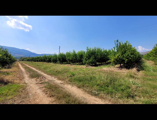 135HA FARM FOR SALE IN NELSPRUIT RURAL